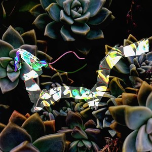 ミルラ (feat. Frozen Turtle)