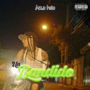 Un Bandido (feat. PELO FINO) (Explicit)