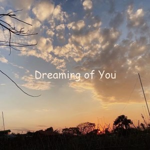 Dreaming of You