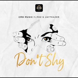 Don't Shy (feat. PD2 & Jay Teazer)