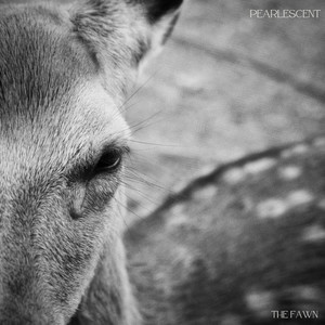 The Fawn (bedroom demo)