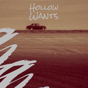 Hollow Wants