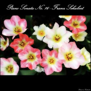 Piano Sonata no. 16 in A minor, D. 845 - Piano Sonata no. 16 in A minor, D. 845: I. Moderato