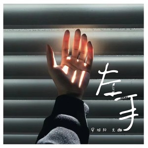 左手