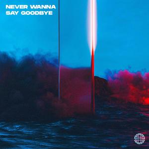Never Wanna Say Goodbye (Extended Mix)