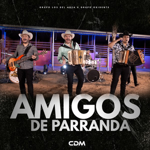 Amigos De Parranda