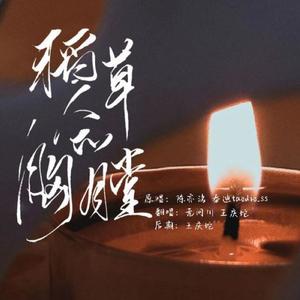 稻草人的胸膛 (翻自 镜予歌)