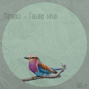 Falling Birds