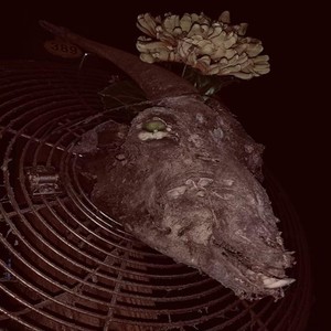 F.T.B. (feat. B4PM, Glock $un, Tri$ap & Lo$t Soul) (Explicit)