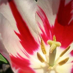 Her Fantasy(It's Ok, Baby) (Long Version)