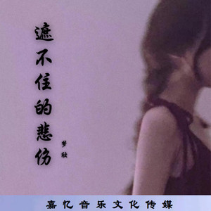 遮不住的悲伤 (伴奏)