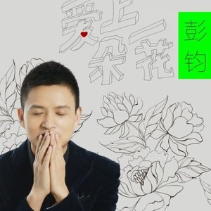 爱上一朵花封面
