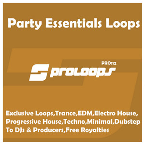 Party Essentials Loops