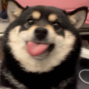 宝藏