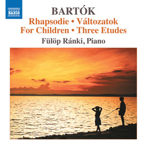 Változatok (Variations), BB 22 - Változatok (Variations), BB 22