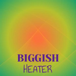 Biggish Heater