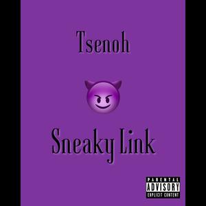 Sneaky Link (Explicit)