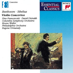 Violin Concerto in D Major, Op. 61 - I. Allegro ma non troppo (D大调小提琴与乐队协奏曲，作品61：第一乐章 不太过分的急速)