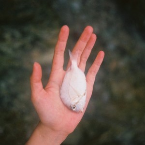 在下雨的时候打开窗