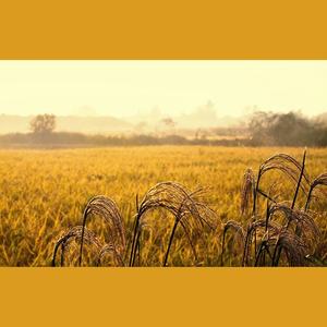 Janji - Horizon (Remix〕