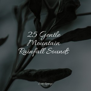 25 Gentle Mountain Rainfall Sounds