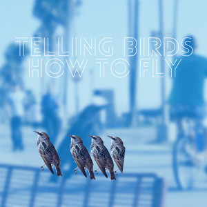 Telling Birds How to Fly