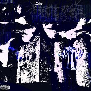 QUESTIONS (Explicit)