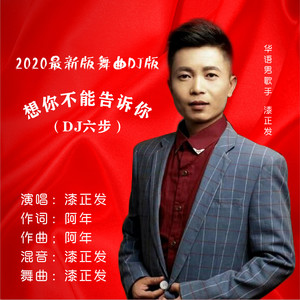 想你不能告诉你 (DJ六步版)
