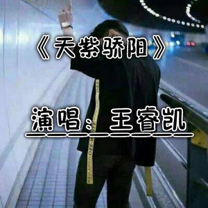 天紫骄阳
