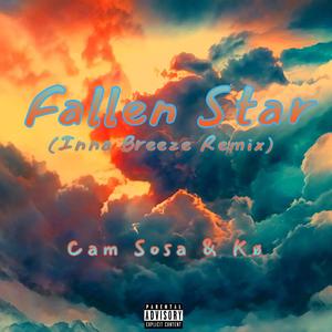 Fallen Star (feat. Kø) [Explicit]