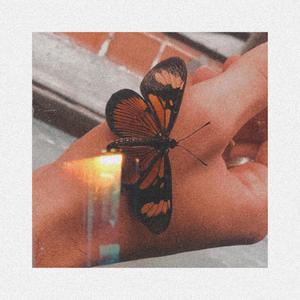 Bem Vindo(Saudação)