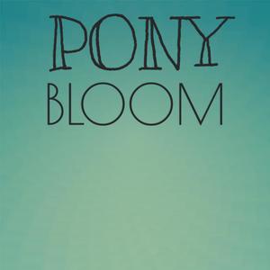 Pony Bloom