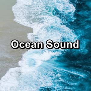Ocean and River Sounds With Rain to Relief the Night