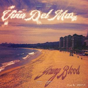Viña del Mar (feat. Young Blood) [Explicit]
