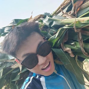 是龙还是虫 (Demo)