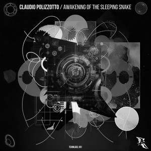 Awakening Of The Sleeping Snake (Original Mix)