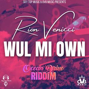 Wul Mi Own (Explicit)