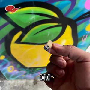 Some Bud (feat. Manny Mata) (Explicit)