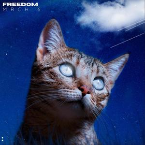 Freedom