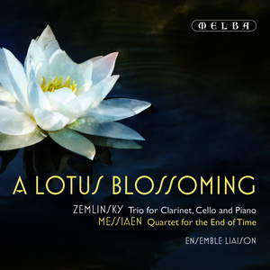 Quartet for the End of Time: V. Louange à l’eternité de Jésus