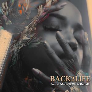 Back2Life (feat. Chris Kellah)