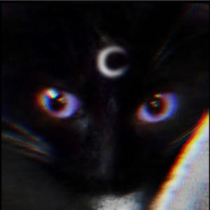 712 On Top (feat. Yung cupid // young gold) (Explicit)