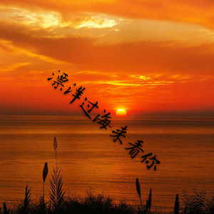 漂洋过海来看你