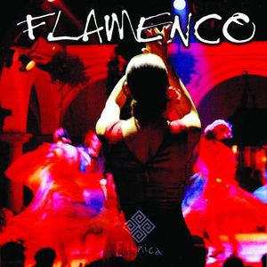 Flamenco Guitar