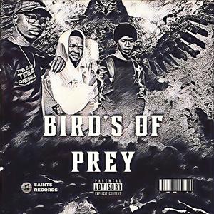 Bird's Of Prey (feat. Paytime Storm & Slapdash 626) [Explicit]