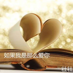 如果我是那么爱你
