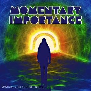 Momentary Importance (feat. Blackout Noise)