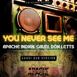 You Never See Me (Gaudi Dub Version)