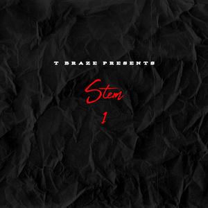 Like What (feat. Bellside Choppa) (Explicit)