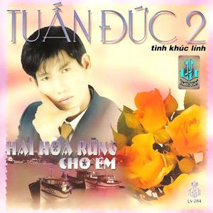 Hái Hoa Rừng Cho Em